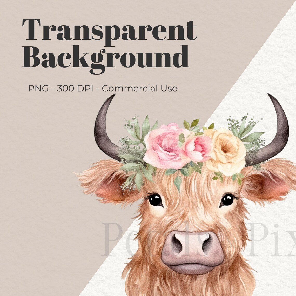 Floral Highland Cow Watercolor Clipart, Baby Shower PNG (digital ...