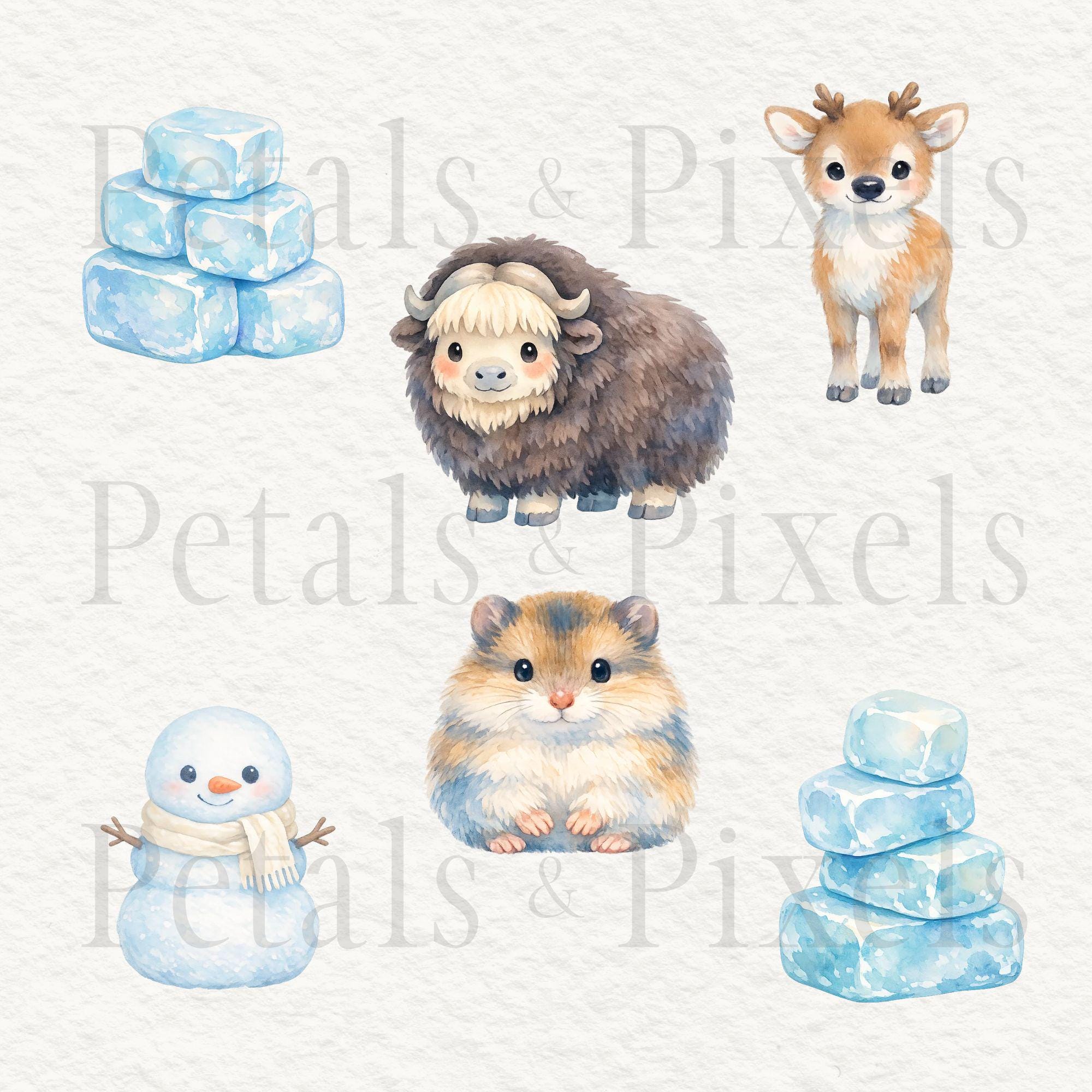 Arctic Animals Clipart Set Cute Wildlife Animal Graphics Watercolor ...