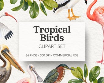 Flamingo Clipart Set Pink Flamingo Watercolor Tropical Birds PNG Pelican Stork Heron Sublimation Files Coastal Wedding Decor Commercial Use