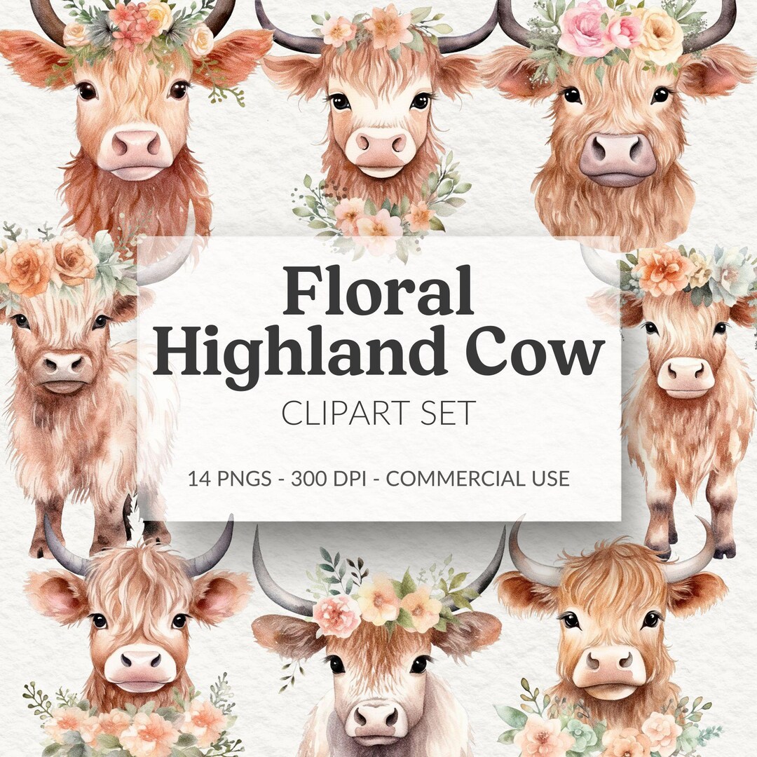 Floral Highland Cow Watercolor Clipart, Baby Shower PNG (digital ...