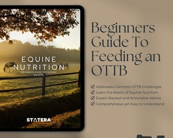 The Beginners Guide to Feeding an OTTB
