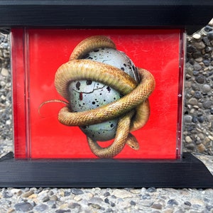 May include: A red CD case featuring a snake coiled around a speckled egg. The snake is brown and yellow, and the egg is light blue and grey.