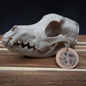 German Shepherd Skull | Life Size 3D Printed Bone Replica | Gothic Home Decor Oddities, Large Dog Breed Osteology