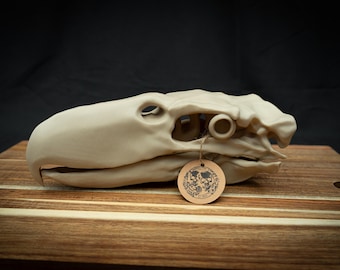 Terror Bird Skull Replica | Scaled 3D Printed Bone | Prehistoric Dinosaur Art, Gothic Home Decor Oddities