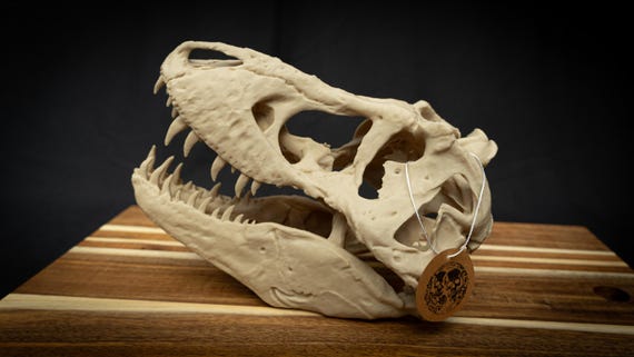 T-Rex Dinosaur Skull | Scaled 3D Printed Bone Model | Prehistoric Fossil Art, Gothic Home Decor