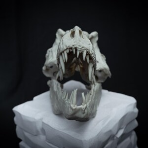 May include: A detailed, off-white Tyrannosaurus Rex skull replica. The skull features sharp teeth and is displayed on a white, textured base against a black background. The focus is on the intricate details of the prehistoric creature's skull.