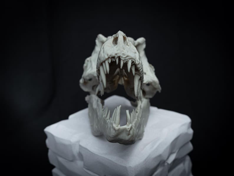 May include: A detailed, off-white Tyrannosaurus Rex skull replica. The skull features sharp teeth and is displayed on a white, textured base against a black background. The focus is on the intricate details of the prehistoric creature's skull.