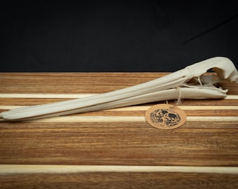 Pelican Skull Replica – Scaled 3D Printed Bone White | Gothic Décor