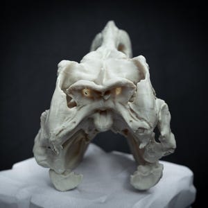 May include: A detailed, off-white sculpture of a skull, possibly animal, with intricate bone structure. The skull is positioned on a white surface against a dark background, highlighting its form and texture. The sculpture has a weathered appearance.