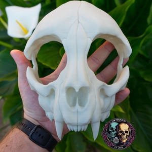 Cat Skull Half Face Mask - 3D Printed Animal Mask, Carnival Party Props, Cosplay, Christmas Gift, Birthday Gift, Halloween Masquerade