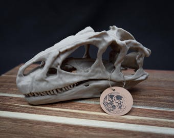 Allosaurus Dinosaur Skull Replica – Scaled 3D Printed Prehistoric Skull Model, Natural History Décor