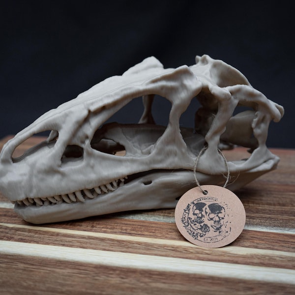 Réplica de cráneo de dinosaurio Allosaurus – Modelo a escala impreso en 3D de cráneo prehistórico, decoración de historia natural