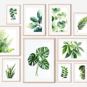 Op de afbeelding: Een verzameling ingelijste botanische kunstprints met aquarel illustraties van verschillende groene bladeren en bladeren. De prints worden gepresenteerd in licht houten frames, met een verscheidenheid aan plantensoorten en bladarrangementen tegen een witte achtergrond.