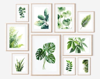 May include: A collection of framed botanical art prints featuring watercolor illustrations of various green leaves and foliage. The prints are displayed in light wood frames, showcasing a variety of plant species and leaf arrangements against a white background.