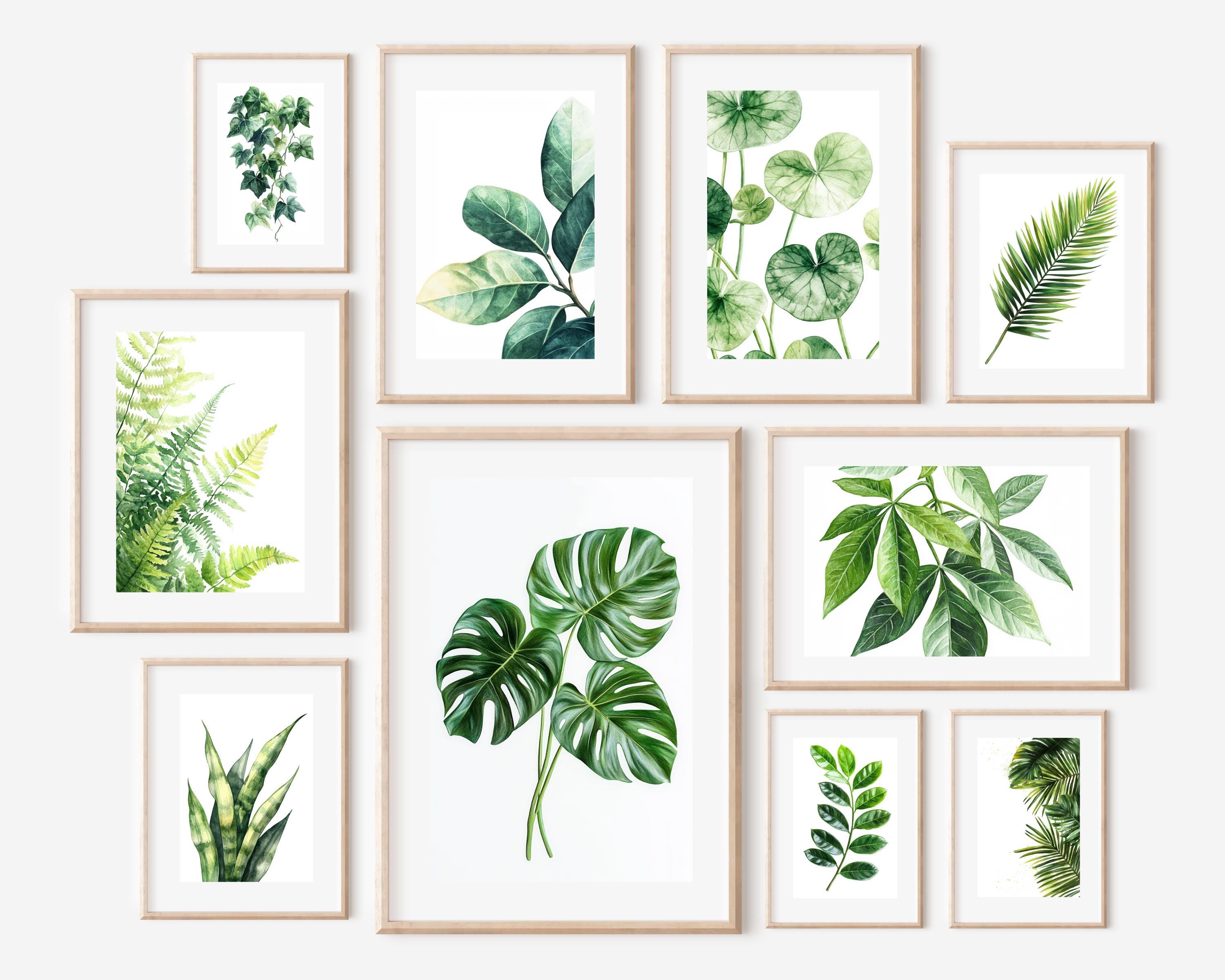 Monstera poster - Etsy.de