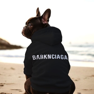 Dog Sweater Designer Dog Clothes Small Large Dogs Barknciaga Dog Hoodies Luxury Dog Sweater Pet Clothes Puppy Clothes Dog Jacket Reflective