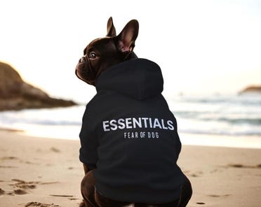 Supreme dog sweatshirt best sale