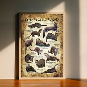 Otter der Welt Leinwand Poster, Wand Kunst Dekor, kein Rahmen
