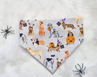 cute spook halloween dogs bandana, dog bandana, halloween, dog bandana, scrunchie dog bandana, elastic dog bandana, fudge and co.
