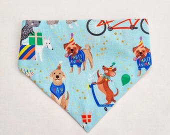pawty time dog bandana, dog bandana, scrunchie dog bandana, elastic dog bandana, fudge and co.