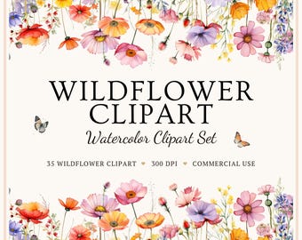 Wildflower Clipart PNG Set, Watercolor Floral Borders, Botanical Flowers, Meadow Wildflowers, Commercial Use
