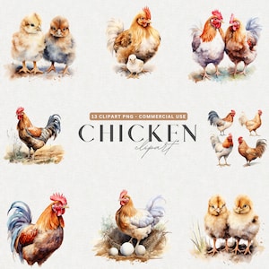 Watercolor Chicken Clipart, Chicken Watercolor, 13 Watercolor Chick illustrations watercolor PNG format instant download for commercial use