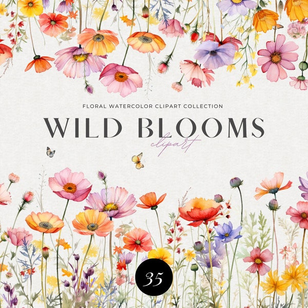 Meadow Watercolor Flower Clipart, Floral Clipart, Wildflowers floral clipart, Floral border set, Fall flowers, Digital clipart