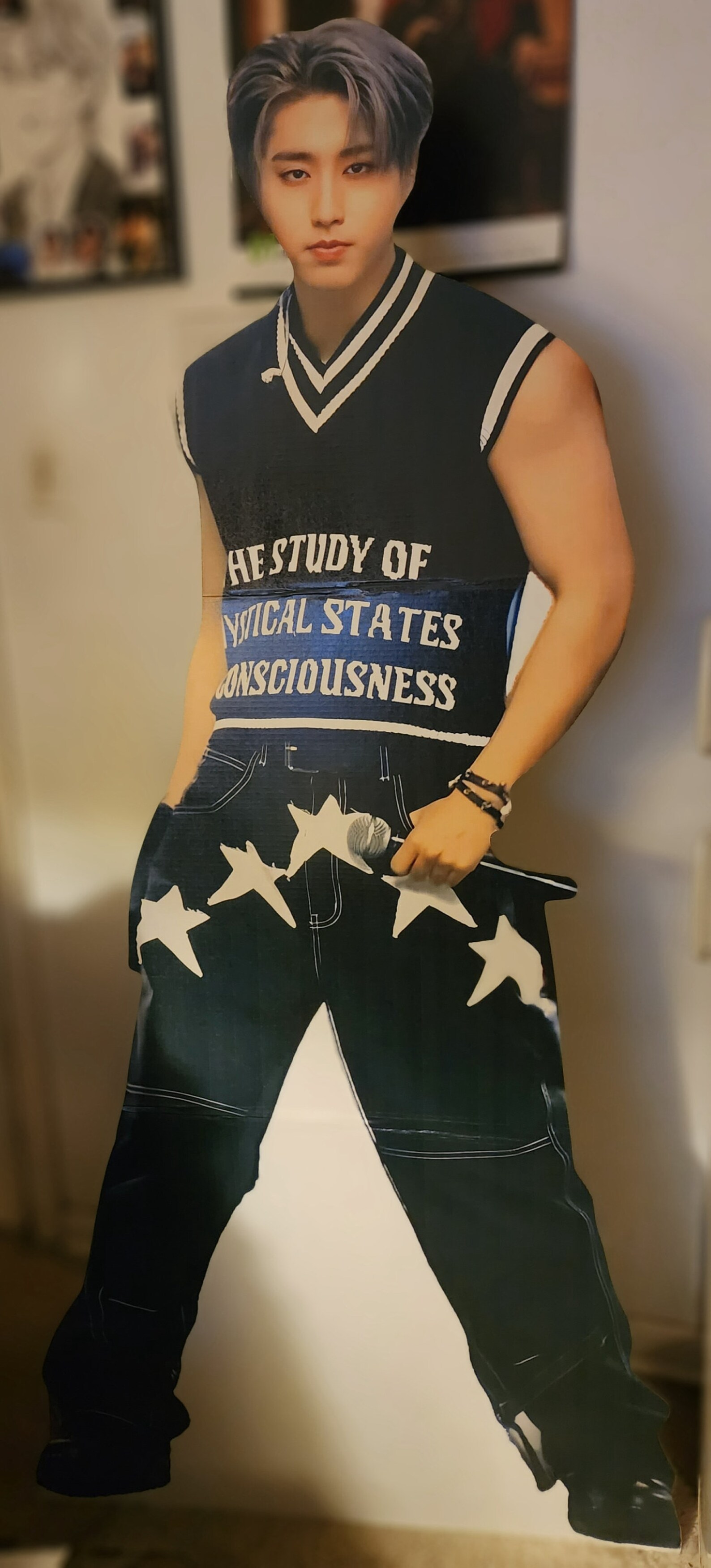 Stray Kids Bangchan Lollapalooza Lifesize Cutout Etsy