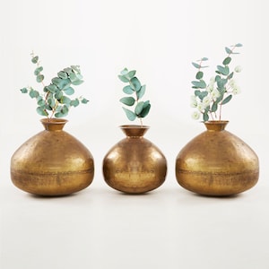 Può includere: Tre vasi in metallo dorato con finitura martellata, ognuno con un tipo diverso di vegetazione.