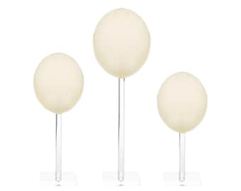 Natural Ostrich Egg on Stand | Sustainably Sourced from South Africa | Assorted Sizes Available