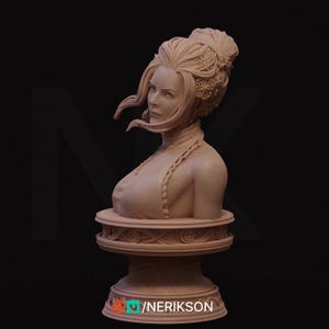 Luna the Moonlight Fencer Bust | Fantasy Female Bust | Nerikson | 12k | 100 mm