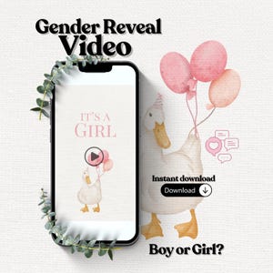 May include: A smartphone displaying a gender reveal video with the text It's a Girl and a watercolor illustration of a duck holding pink balloons. The screen also shows the text Gender Reveal Video, Instant download, and Boy or Girl?