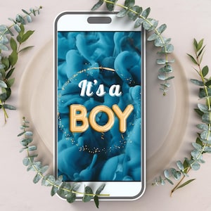 Boy Gender Reveal Video Boy Theme Gender Reveal Video It’s a Boy Gender Reveal Video He or She Gender reveal Boy Reveal Video Gender Video