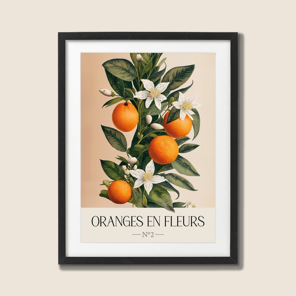 Orange Tree in Bloom Printable Wall Art, French Botanical Citrus Tree, Citrus Kitchen Wall Decor, Downloadable Fruit Print #2