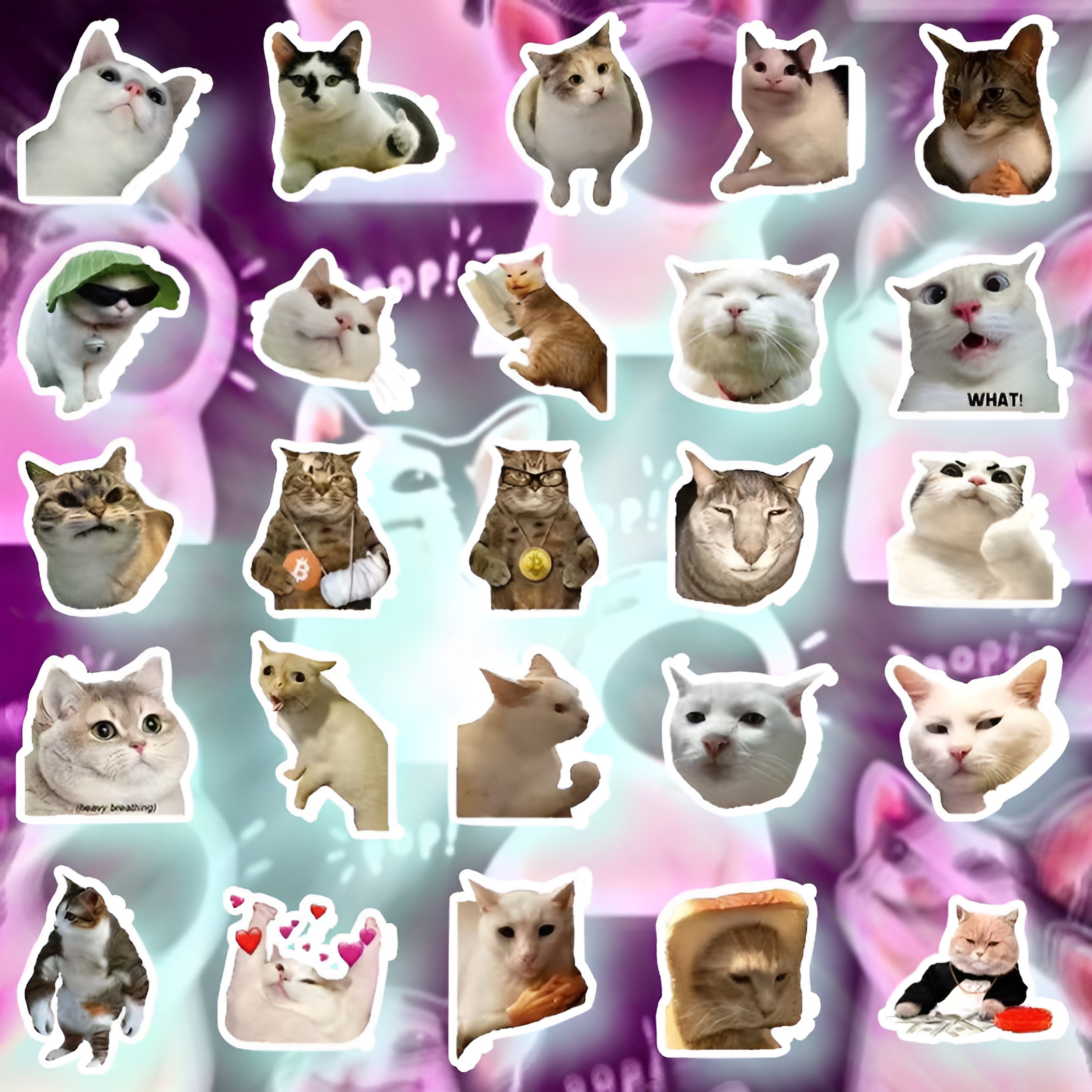 JSTHHTT Paquete de 105 Pegatinas Meme Rosa, Meme Sticker, Stickers Divertidos, Stickers para Adultos, Impermeable Vinilo Pegatinas, Laptop, álbumes de Recortes, Diario, Maleta, Guitarra etc
