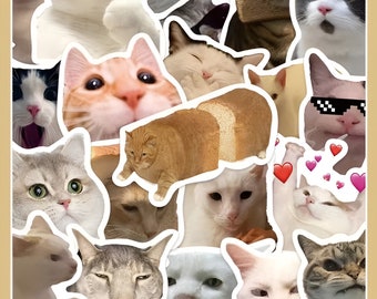 Meme Cat Stickers, Waterdichte Stickers Decals voor auto, motorfiets, laptop, bagage, waterfles, skateboard, gitaar Decor Access