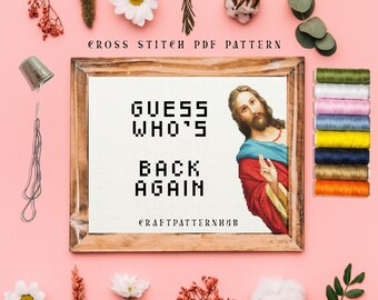 Jesus Meme Cross Stitch Pattern, Funny Embroidery Pattern, I Saw That Stitch Tutorial, DIY Craft, Gift for Kids, Included Stitch Guide