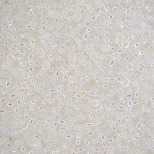 10g TOHO 11/0 Round Japanese Seed Beads 2mm 161 Transparent Crystal Rainbow Seed Beads Jewelry Making High-quality Beading