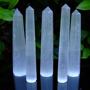 Può includere: Cinque bacchette di cristallo di selenite traslucide e di colore chiaro sono disposte verticalmente. Ogni bacchetta ha una parte superiore sfaccettata e appuntita e una base rettangolare. Lo sfondo presenta un fogliame verde e le bacchette si riflettono su una superficie scura.