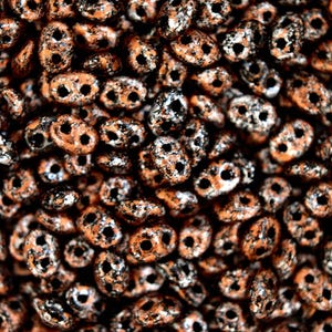 10 g Matubo SuperDuo Tsjechische zaadkralen 2,5 x 5 mm ondoorzichtig gitzwart koperkleurig met twee gaten, hoge kwaliteit voor het maken van sieraden, kralenwerk, Tsjechisch