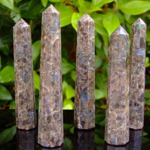 May include: Five brown and blue gemstone obelisks with pointed tops. The obelisks are standing upright on a reflective black surface, with green foliage in the background. The stones have a marbled appearance.