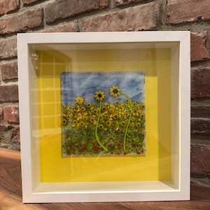 Sunflower Fields