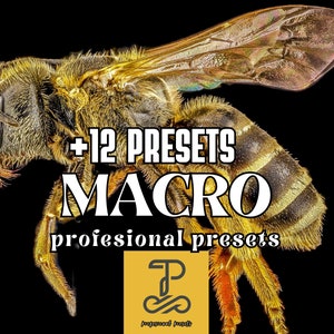 Könnte beinhalten: Ein Nahaufnahmebild einer Biene vor schwarzem Hintergrund. Der Text +12 PRESETS MACRO professional presets ist über das Bild gelegt. Ein gelbes Quadrat mit einem stilisierten Buchstaben P und dem Text "prepped presets" befindet sich in der unteren rechten Ecke des Bildes.