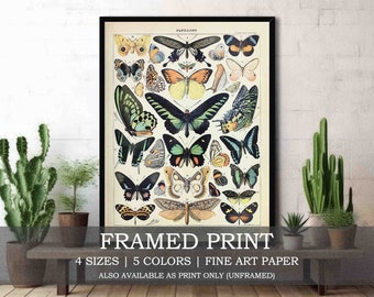 Vintage Butterfly Framed or Unframed Fine Art Print // Vintage Illustration of Papillons (Butterflies) Chart // Botanical Nature Home Decor