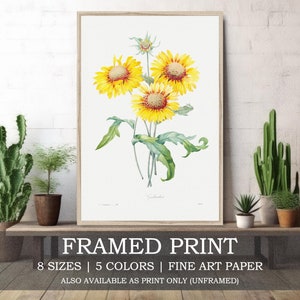 Gelbe Gaillardia Blumen Botanicals gerahmt oder ungerahmt Fine Art Print // Vintage Blumen Blumen Natur Rustikal Home Decor Poster