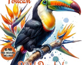 Watercolor Toucan Clipart PNG, Tropical Bird Paradise (Digital Download)
