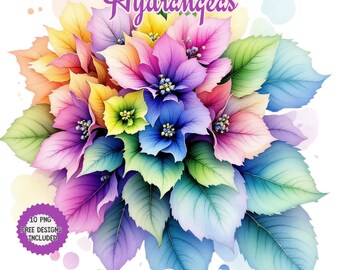 Watercolor Hydrangea Clipart: Winter Floral PNG (Digital Download)