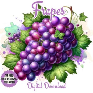 Watercolor Grapes Purple and Yellow Clipart, Grape Branches Clipart, Botanical Art JPG & PNG, Grapes Images, Wine Clipart, Vineyard Clipart