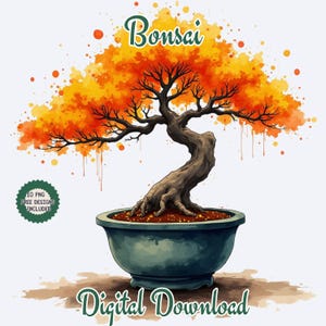 Clipart di alberi bonsai ad acquerello. Bonsai giapponesi eleganti. Illustrazione di bonsai per progetti di decorazioni zen. Arte giapponese. Albero in fiore di bonsai Png