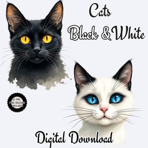 Gatti in bianco e nero Clipart Png Acquerello. Gatti carini. Animali, Clip Art per la cameretta dei bambini, Regalo per gli amanti dei gatti, Gatti esotici con occhi gialli e azzurri Grafica